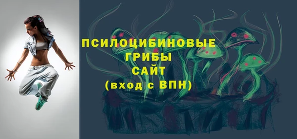 соль ск Верхний Тагил