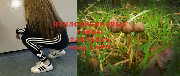 соль ск Верхний Тагил