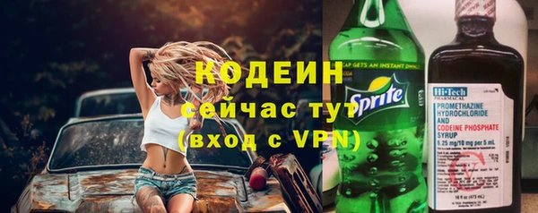 соль ск Верхний Тагил