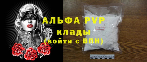 PSILOCYBIN Верея