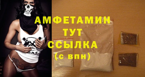 PSILOCYBIN Верея